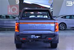 بي واي دي شارك 6